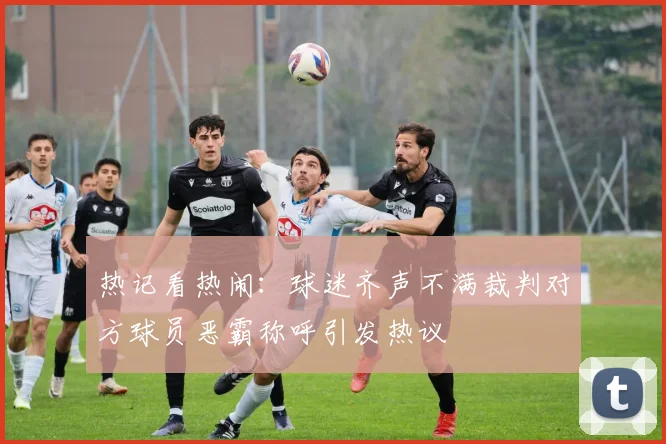 热记看热闹：球迷齐声不满裁判对方球员恶霸称呼引发热议